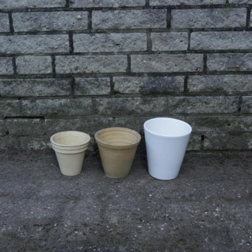 img 3746